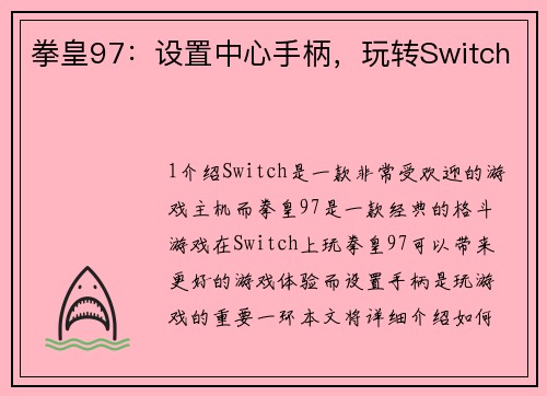 拳皇97：设置中心手柄，玩转Switch